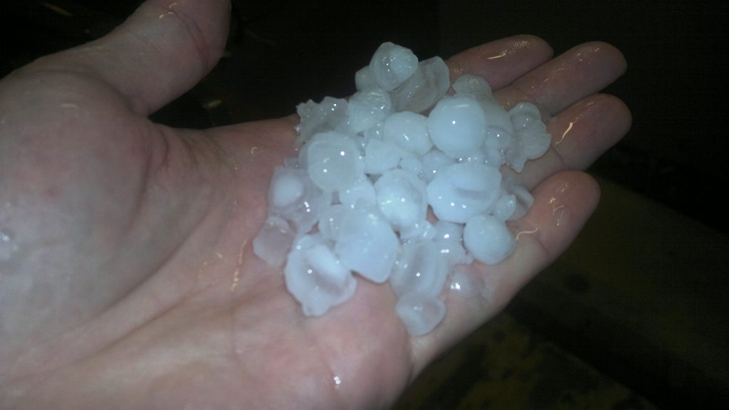 Fingal resident James Perkins collected these hailstones in Pottsville on Saturday. Fingal resident James Perkins collected these hailstones in Pottsville on Saturday.